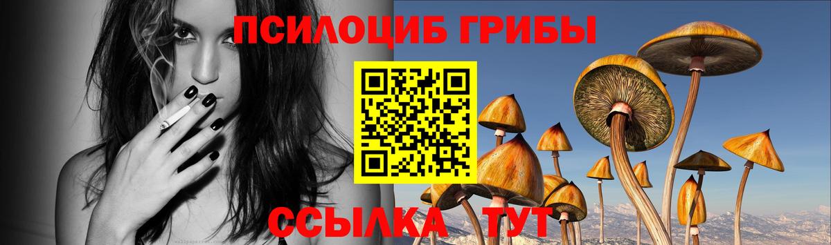 Черкесск  Псилоцибиновые грибы мицелий  наркошоп  Вход с VPN 