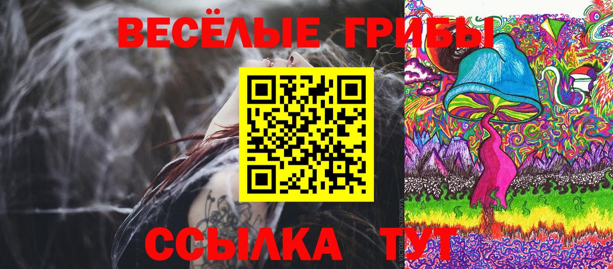 Галлюциногенные грибы Psilocybe Черкесск